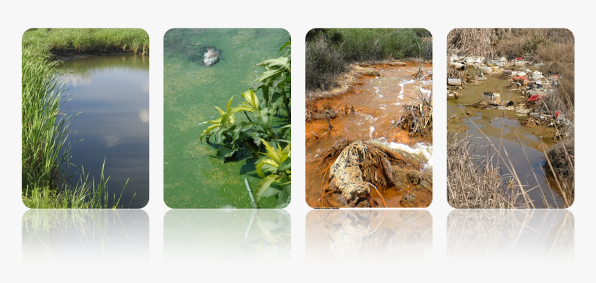 Water Reflection Png, Transparent Png