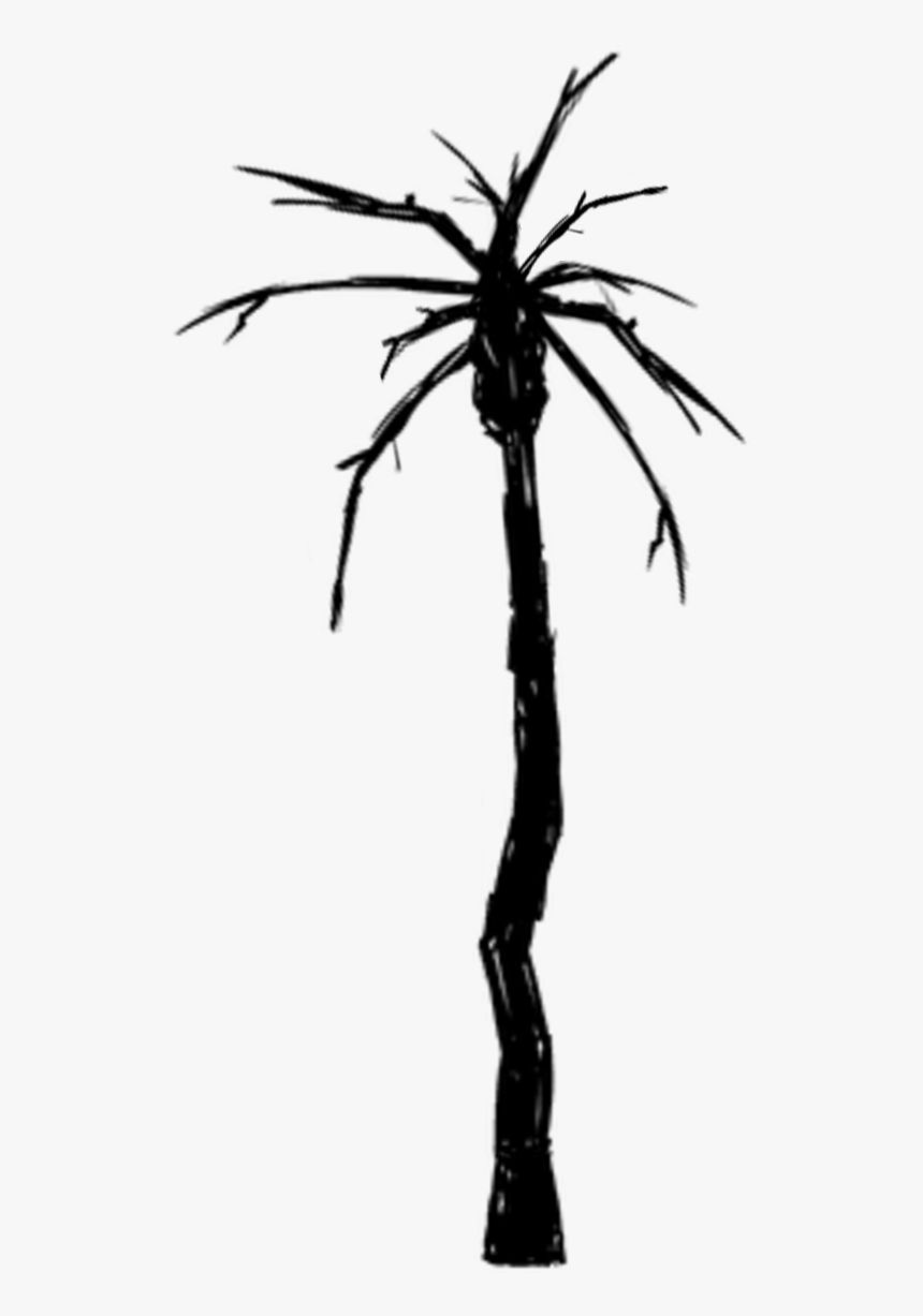 Palm Tree Black And White Png, Transparent Png