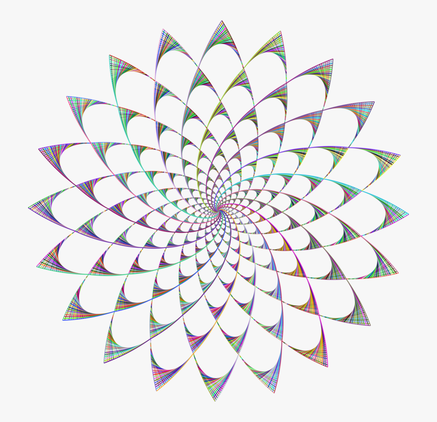 Flower,leaf,symmetry, HD Png Download