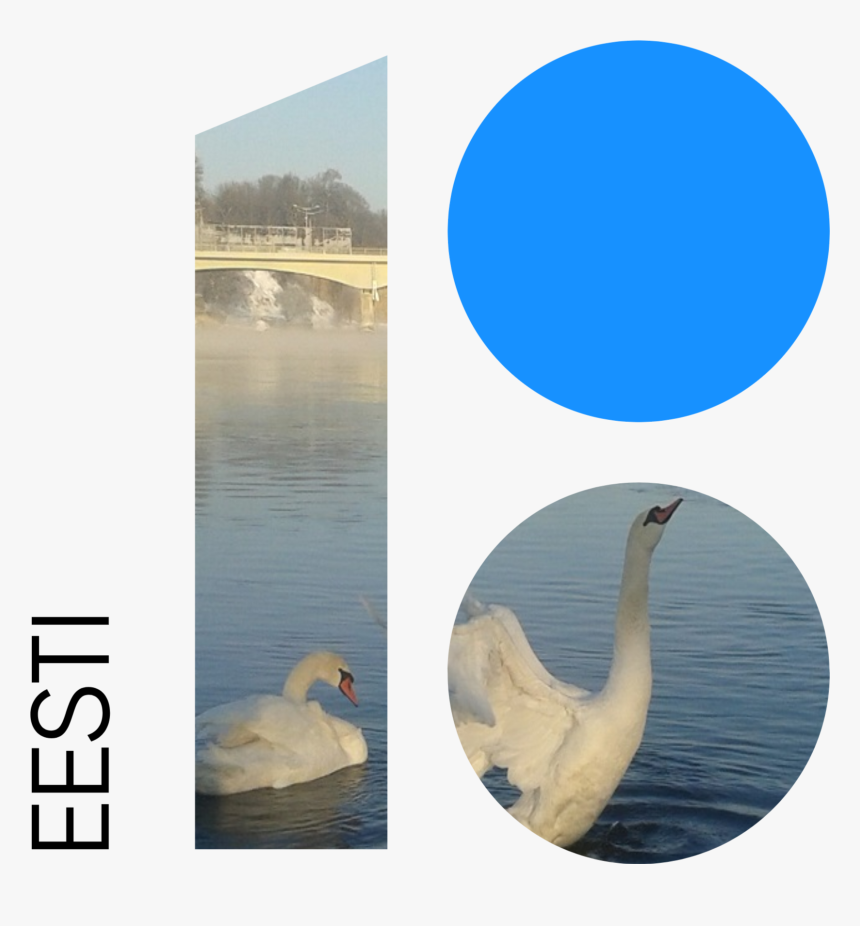 Water Reflection Png, Transparent Png