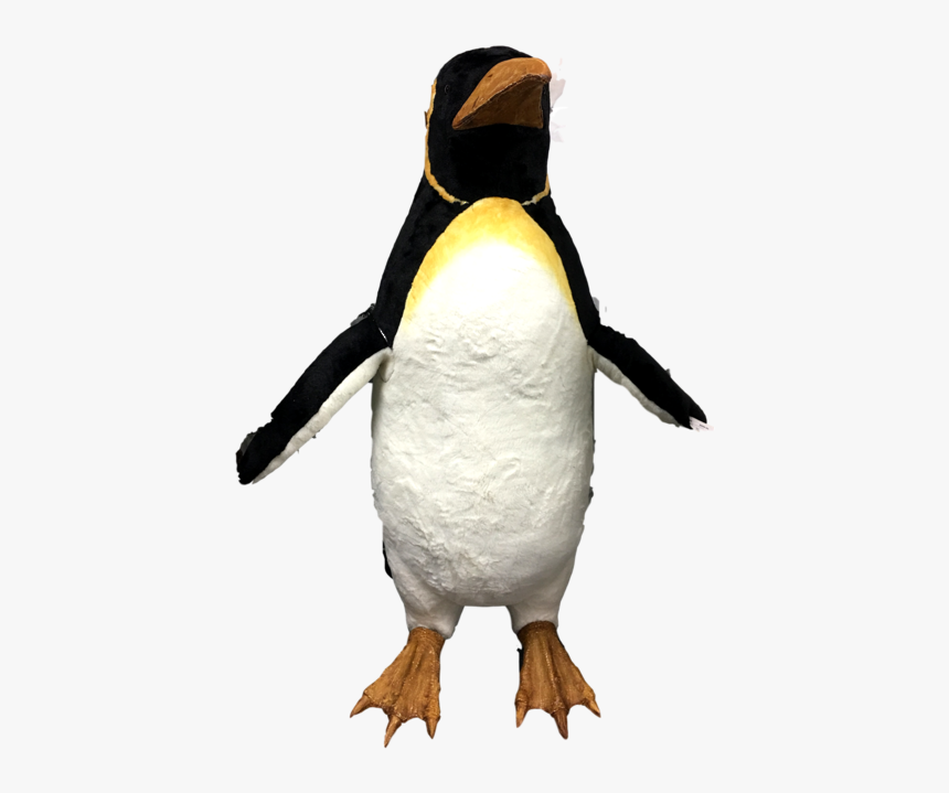 Animated Music Male Penguin W/fins Moving, HD Png Download