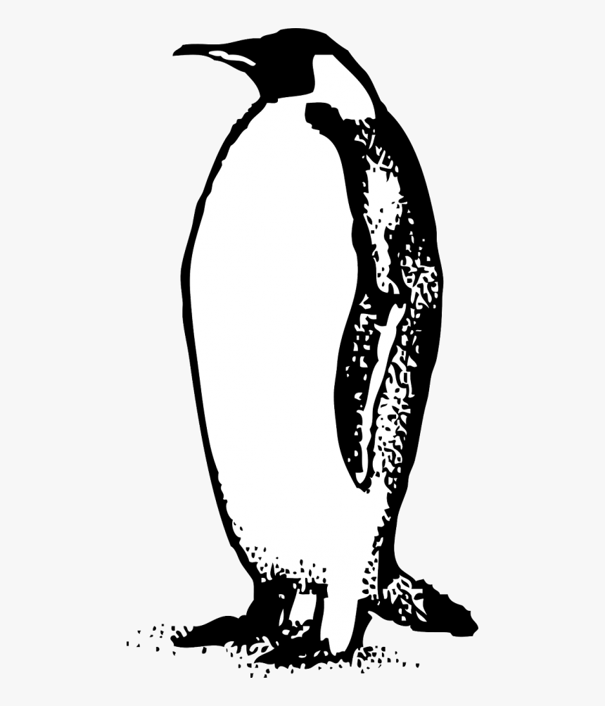 Emperor Penguin Bird Free Photo, HD Png Download