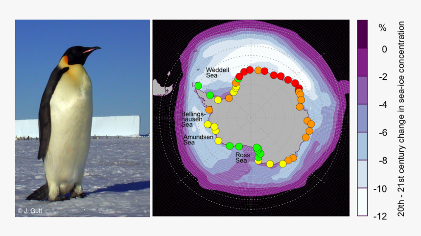 Emp Colonies, HD Png Download