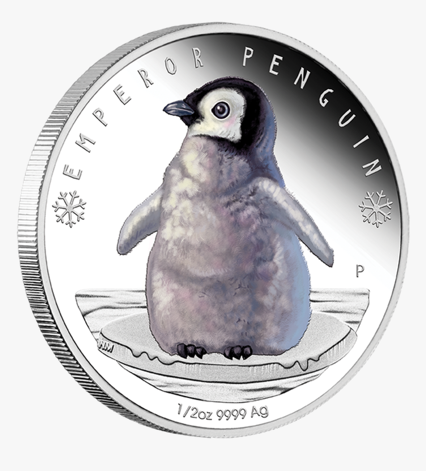Emperor Penguin Png, Transparent Png