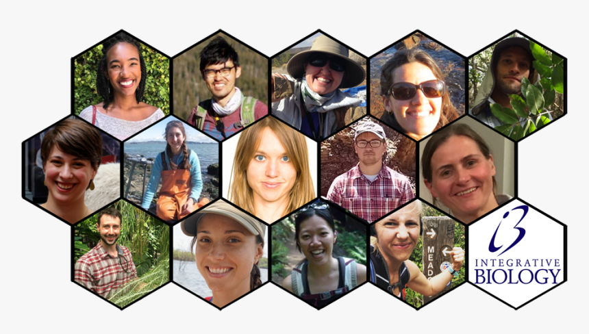 Ib Alumni Profiles 2019 940x519px, HD Png Download