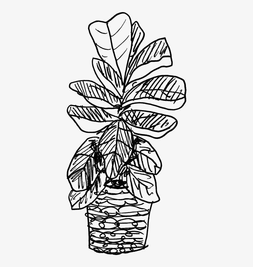 Fig Leaf Png, Transparent Png