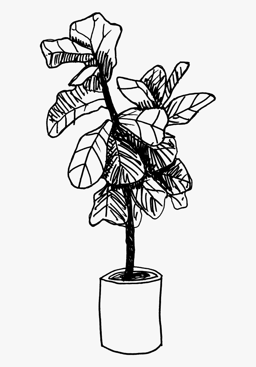 Fig Leaf Png, Transparent Png