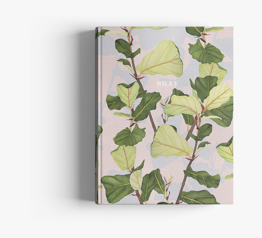 Picture Of Fiddle Leaf Fig Journal, HD Png Download