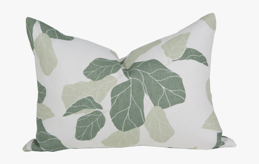 Fiddle Leaf Fig , Png Download, Transparent Png