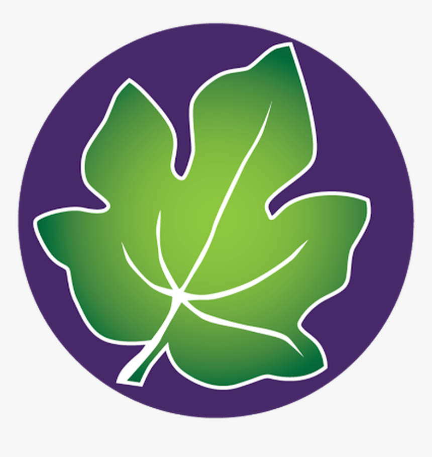 Fig Leaf Png, Transparent Png