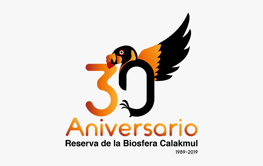Aniversario Png, Transparent Png