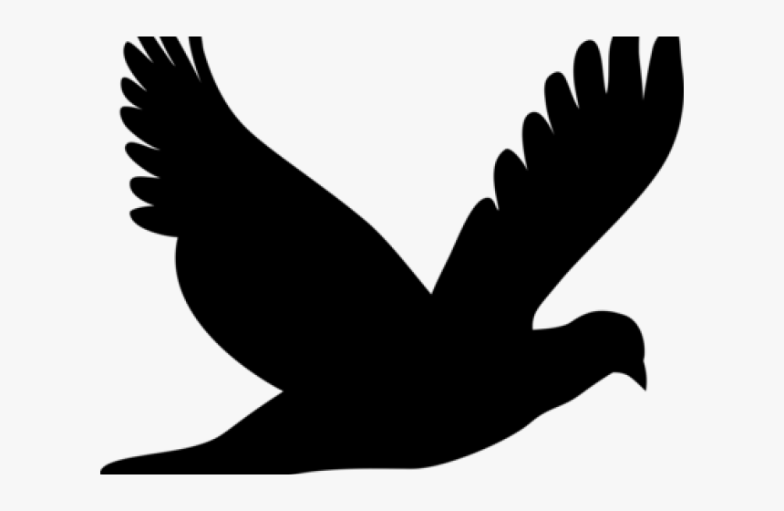 White Dove Clipart Fig Leaf, HD Png Download