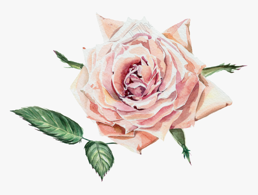 Flowers Pictures And Cliparts, HD Png Download