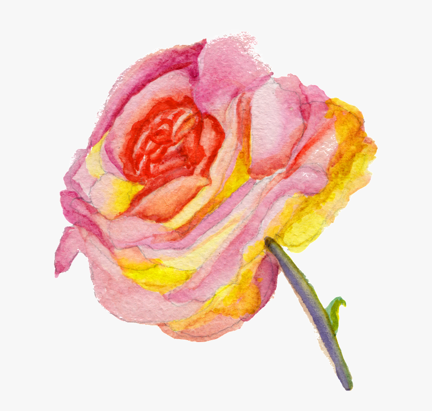 Transparent Ornament Material For Beautiful Fashion, HD Png Download