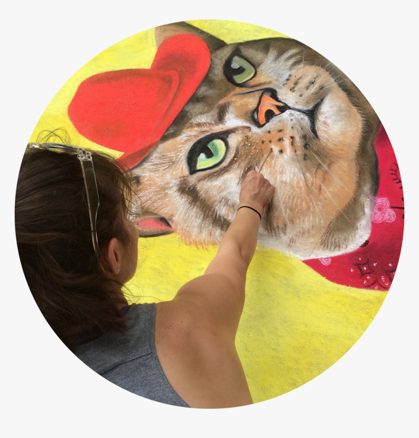 Picture, HD Png Download