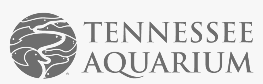 Artboard 22, HD Png Download