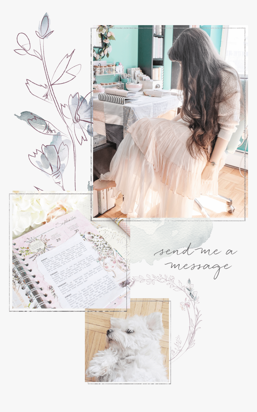 Aerialovely, HD Png Download