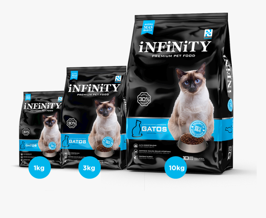 Transparent Gatos Png, Png Download