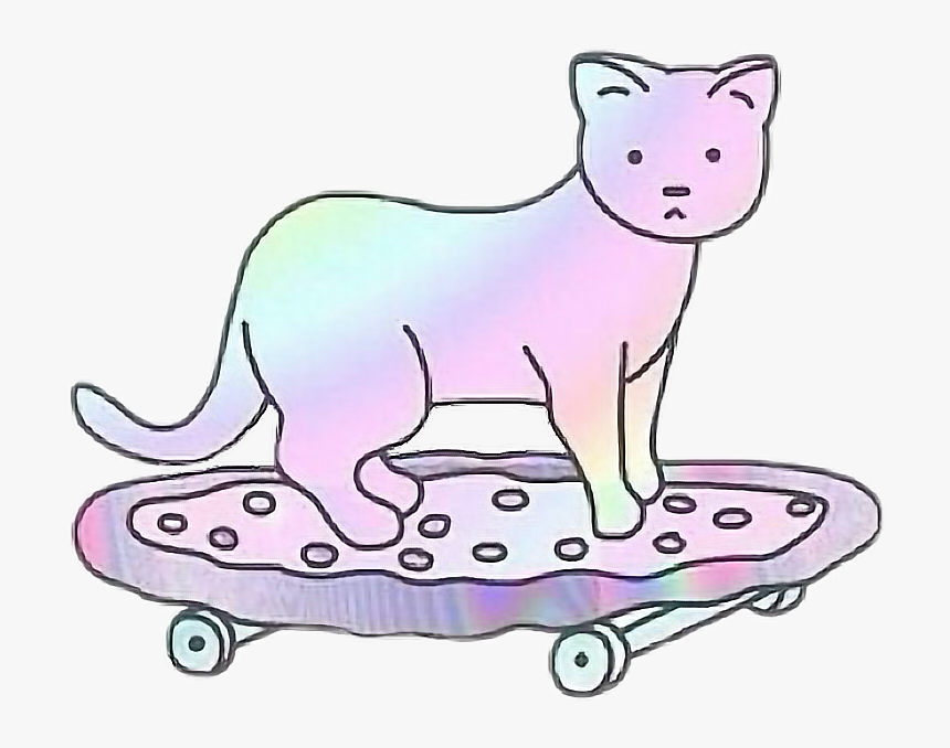 #cat #gatos #skate #colors #tumblr #freetoedit, HD Png Download