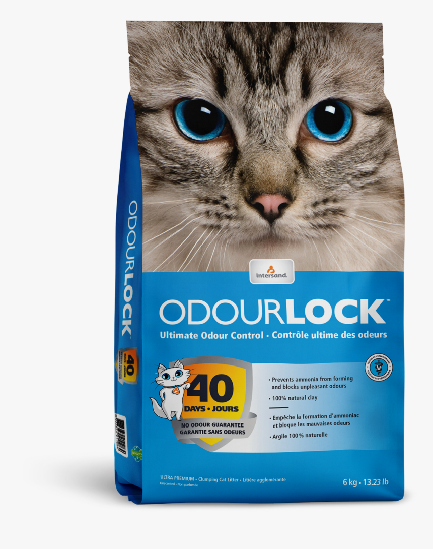 Gatos Png, Transparent Png