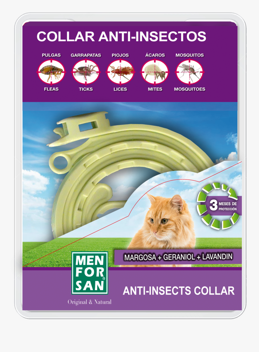 Insect Repellent Collar For Cats, HD Png Download