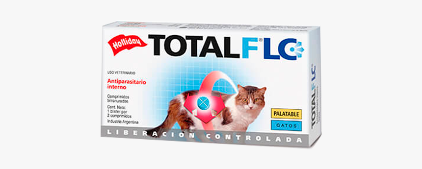 Gatos Png, Transparent Png