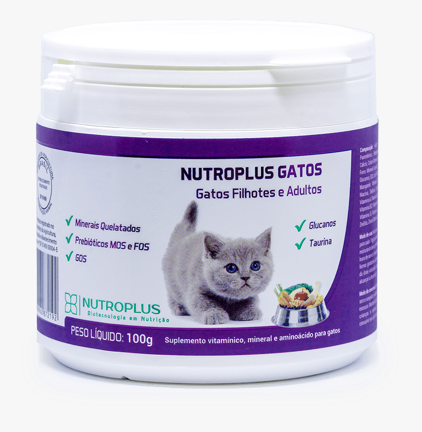 Gatos Png, Transparent Png