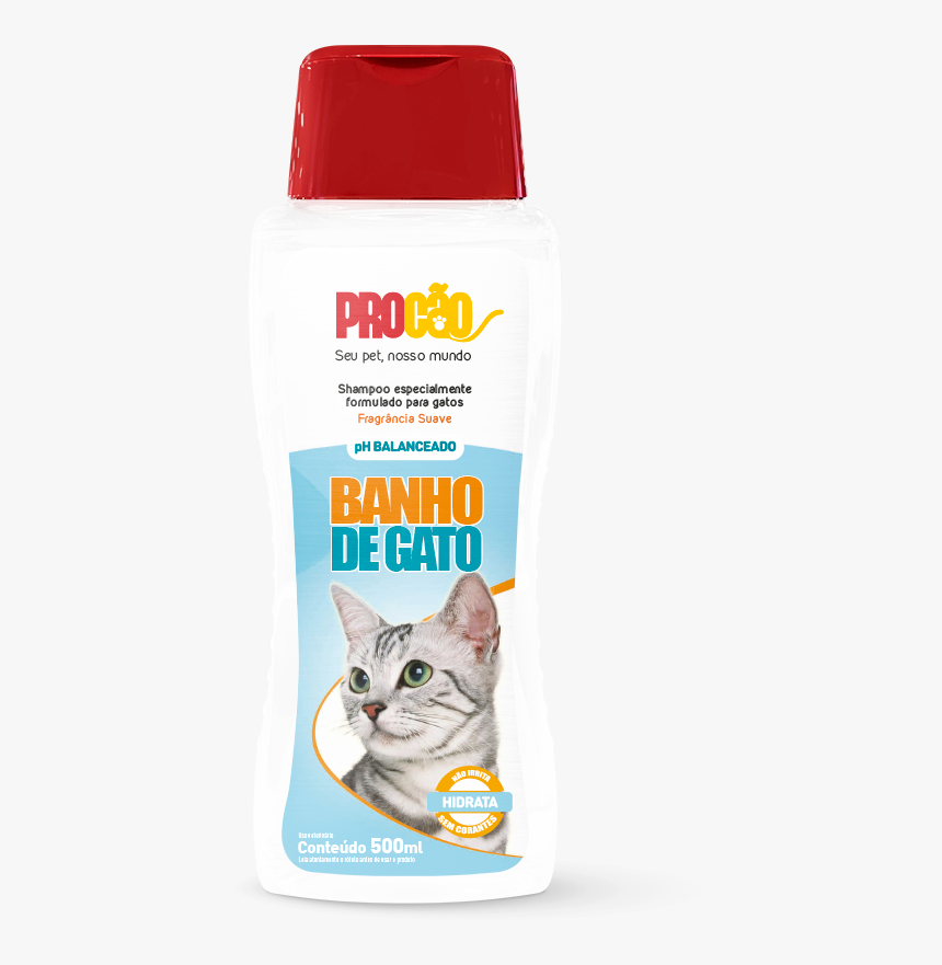 Gatos Png, Transparent Png