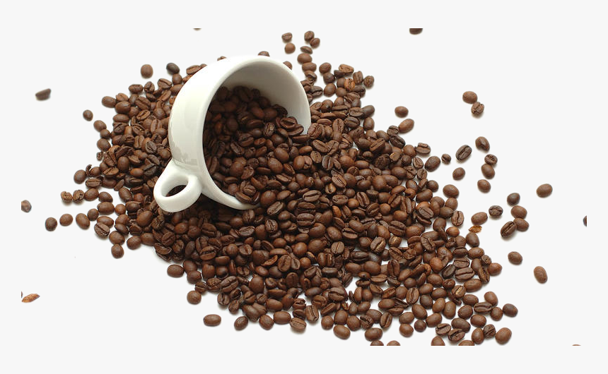 Instant Coffee Tea Coffee Bean Coffee Roasting, HD Png Download