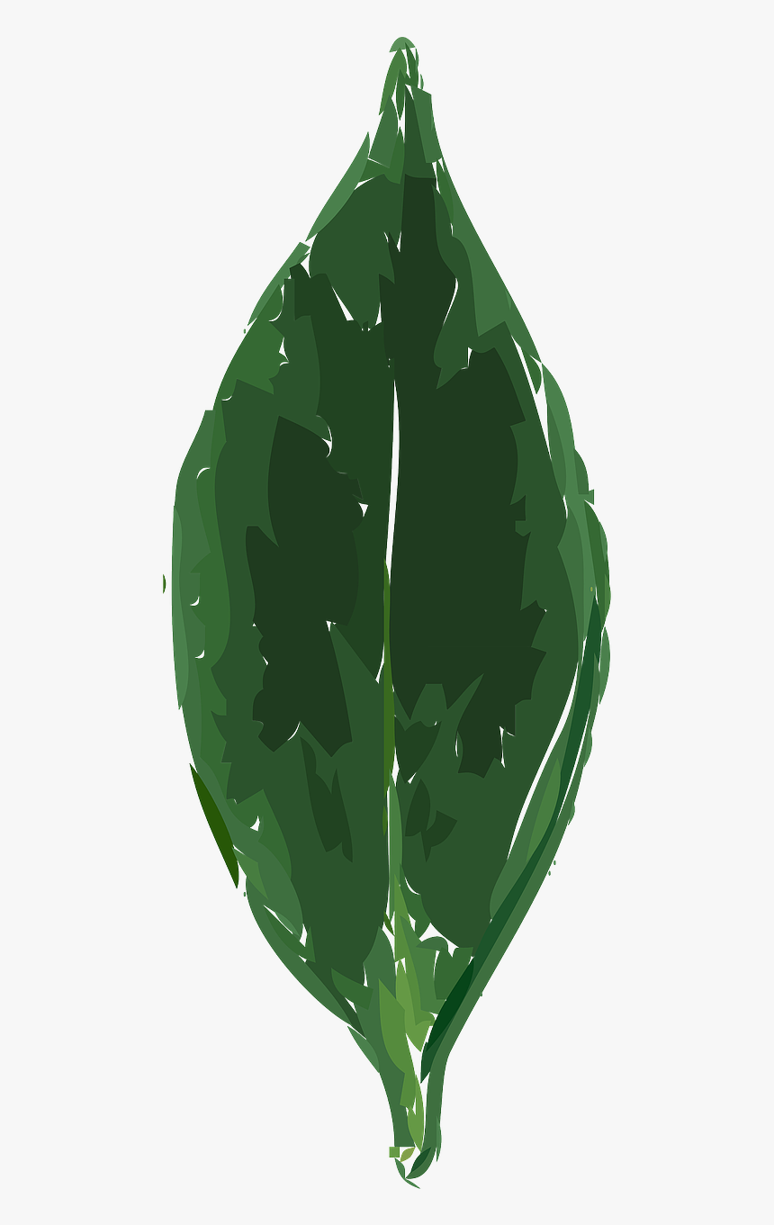 Plant Cartoon Png, Transparent Png