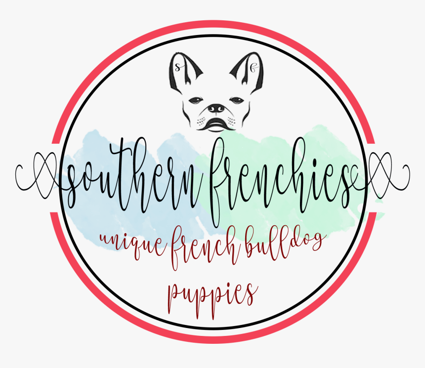 French Bulldog , Png Download, Transparent Png