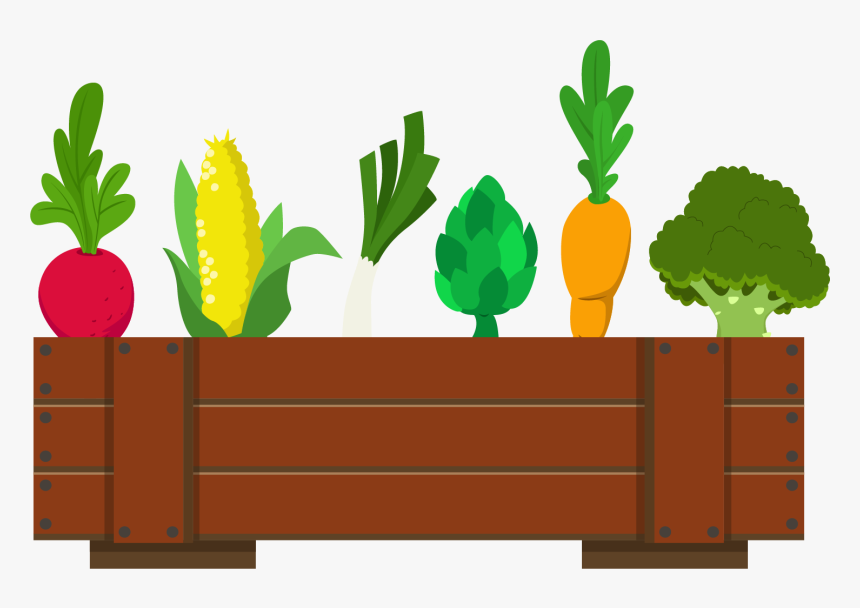 Plant Cartoon Png, Transparent Png