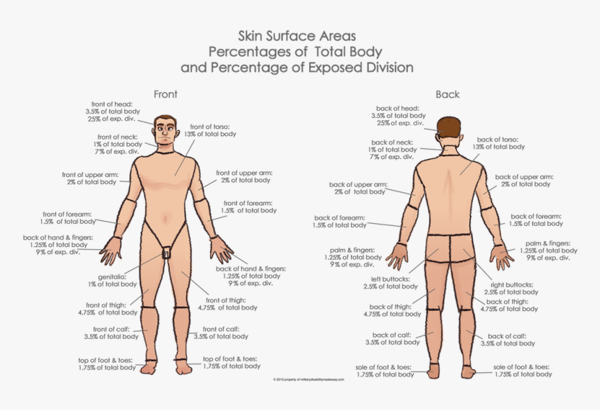 Person Standing Png Back, Transparent Png