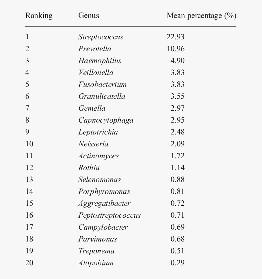 Saliva Png, Transparent Png