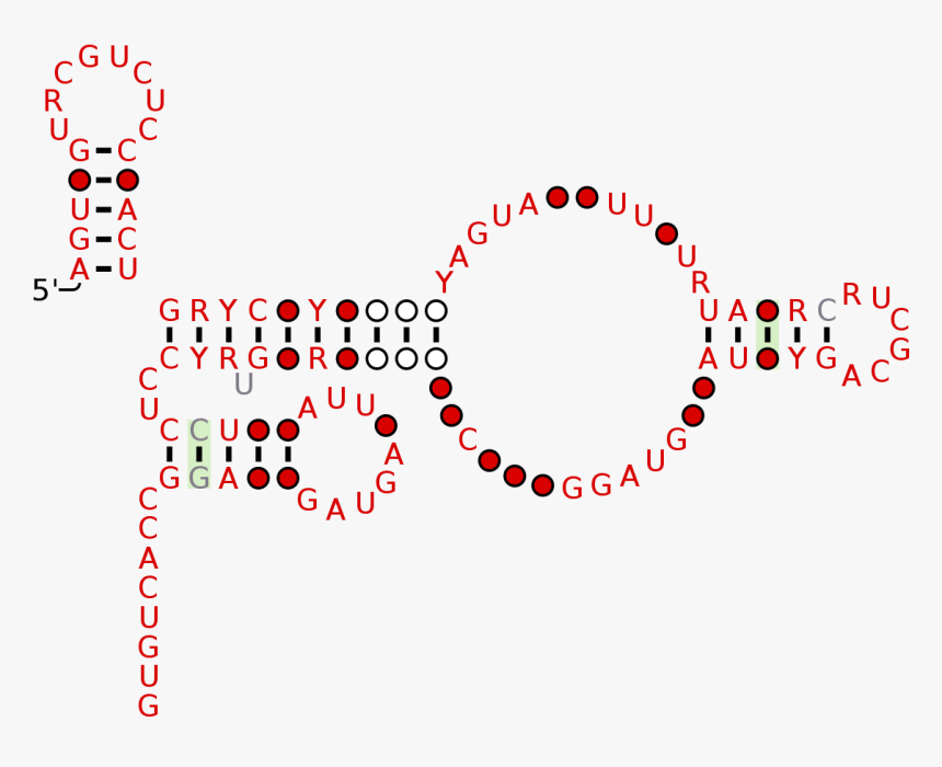 Saliva Png, Transparent Png