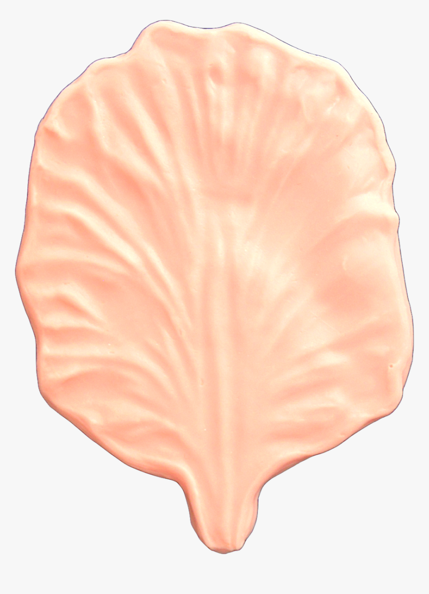 Orchid Transparent Petals, HD Png Download