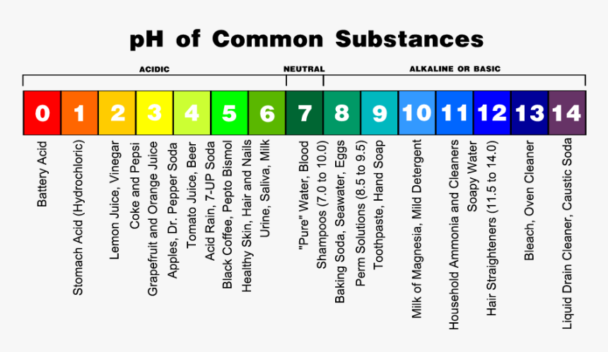 Saliva Png, Transparent Png