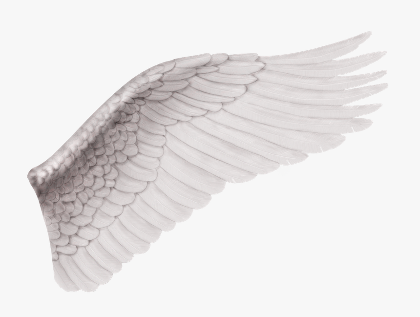 Thumb Image, HD Png Download