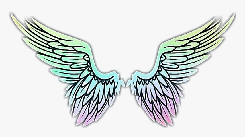 #wings #angel #flügel #engel #engelflügel #schön #beautiful, HD Png Download