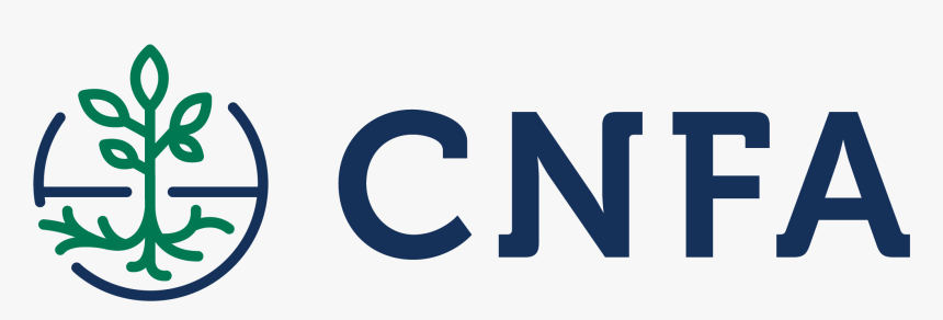 John Snow Png, Transparent Png