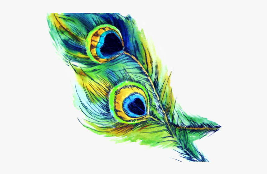 Flute Clipart Peacock Feather, HD Png Download