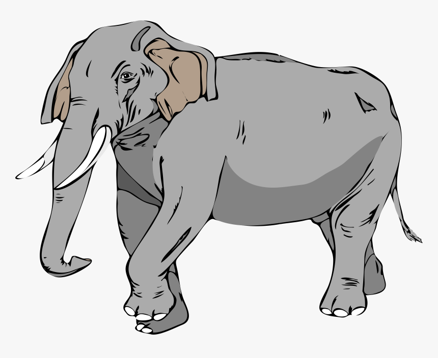 Architetto Elefante 02 Clip Arts, HD Png Download