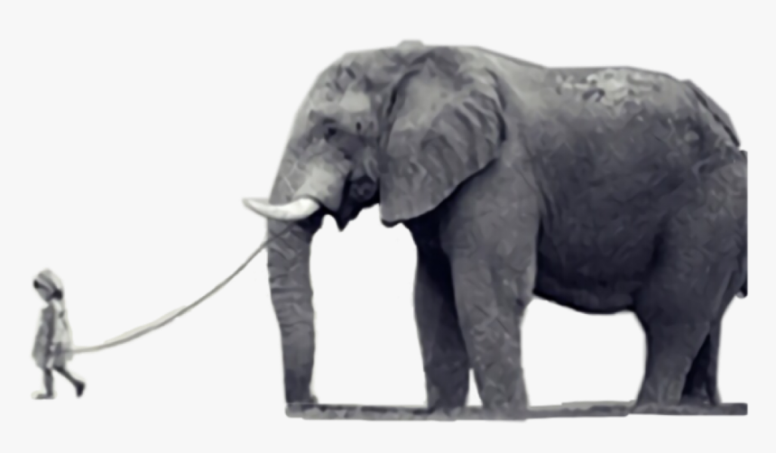 #elephant #elefante #freetoedit, HD Png Download