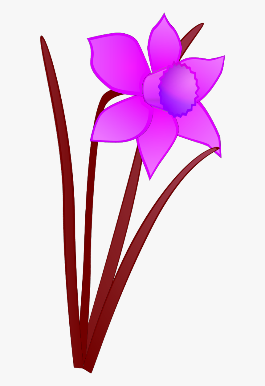 Vector Clip Art, HD Png Download