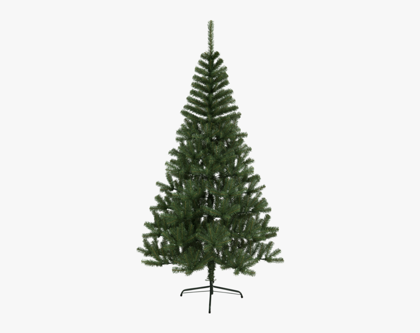 Christmas Tree Kanada Wilko Christmas 7ft Canadian Fir Tree, HD Png