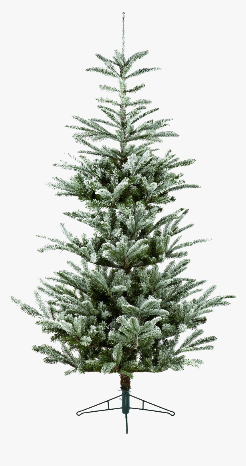 Fir Tree Png Hd Wallpaper - Buy 4 Foot Christmas Tree Nz, Transparent Png