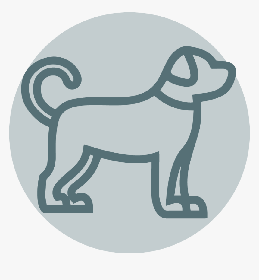 Dog Coupons - Dog Coupon, HD Png Download