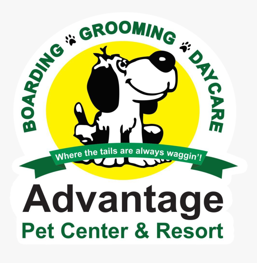 Pet Boarding Kennel Tampa - Concentrix, HD Png Download