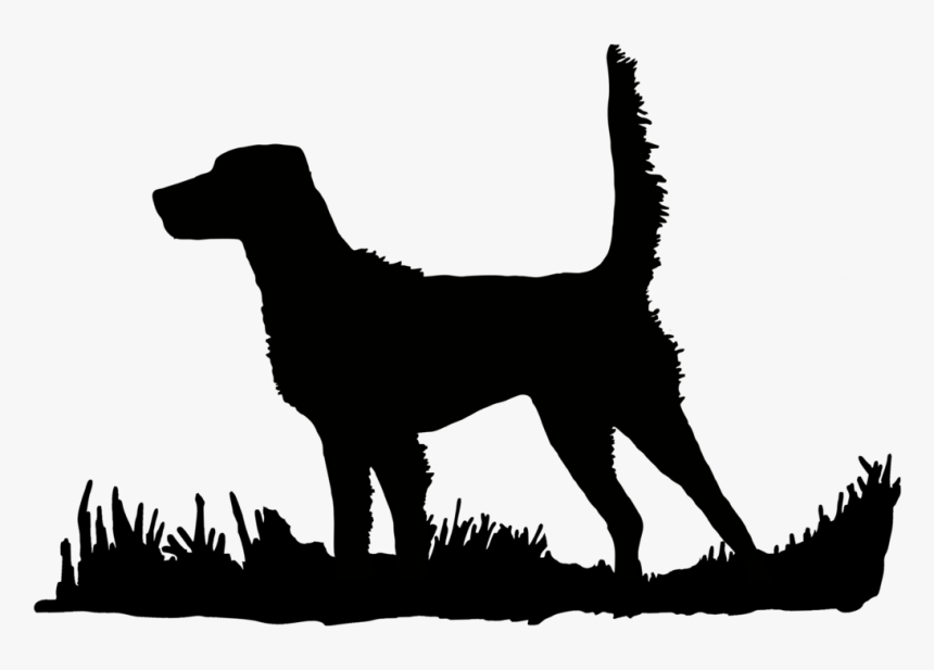 English Setter High Tail Bird Upland Hunting - Hunting Dog Clip Art, HD Png Download