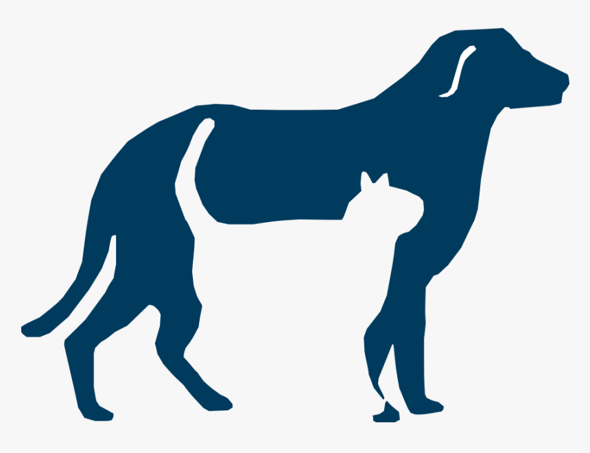 Breed,carnivore,clip Art,sporting Group,english Foxhound,great - Shepherdsville Animal Hospital, HD Png Download